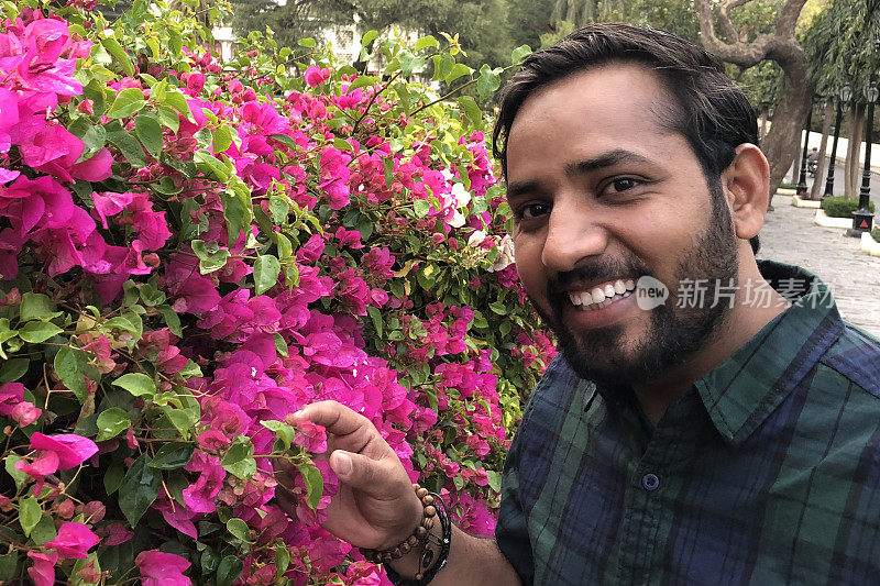在印度拉贾斯坦邦的斋浦尔，一名印度男子留着胡子，闻着藤蔓上生长着粉红色的九重葛花，这是一种不寻常的热带花园篱笆，有粉红色的九重葛花、苞片和花瓣，他穿着蓝/绿格子衬衫，戴着手镯